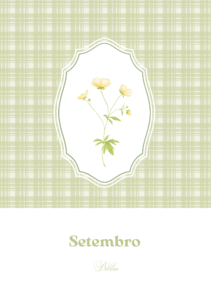 Capas de meses - verde